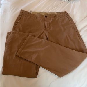 GAP lived-in straight chino - dark khaki 36 x 30
